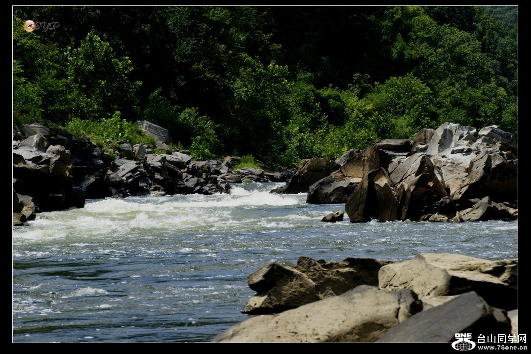 _DSC4180.jpg
