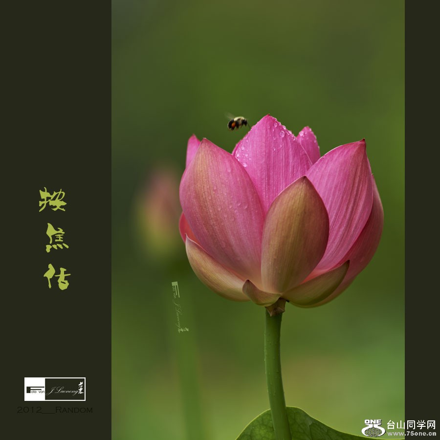 751DSD_7758.jpg