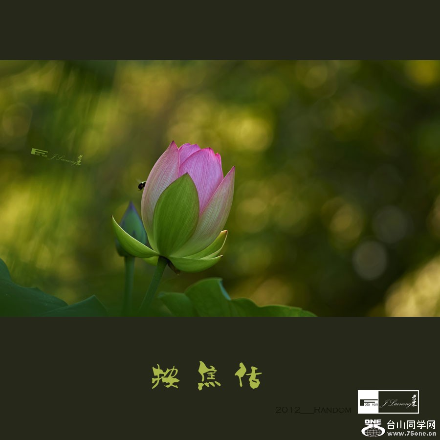 751DSD_8242a.jpg