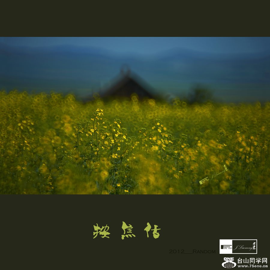751DSD_9869.jpg
