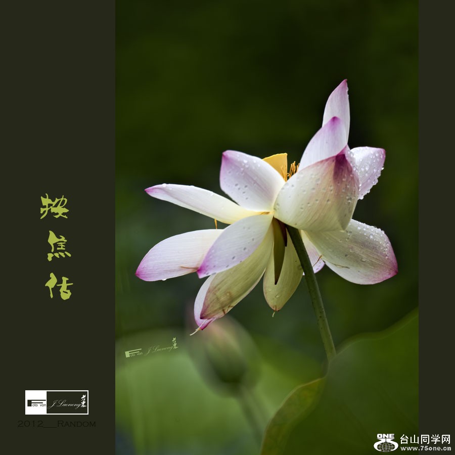 751DSD_7787-1.jpg