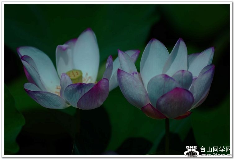 nEO_IMG_DSC_0348.jpg
