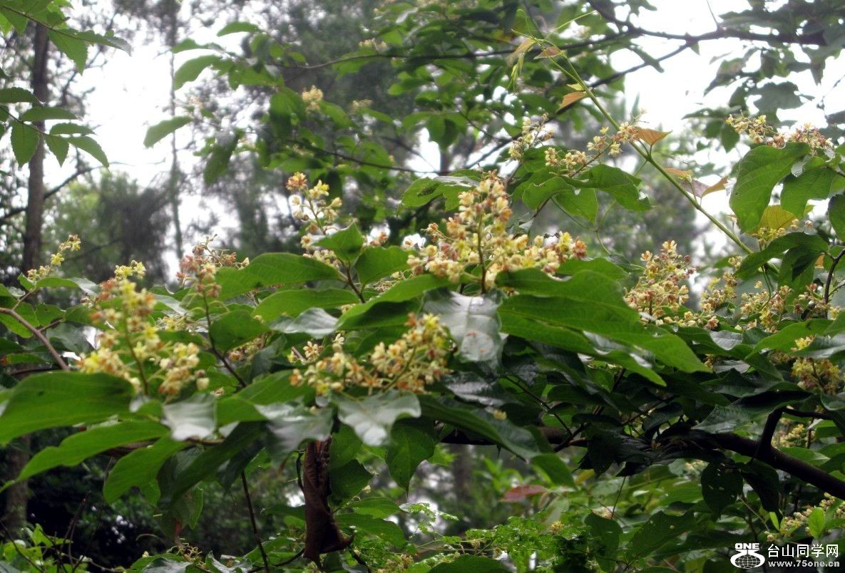 67.jpg