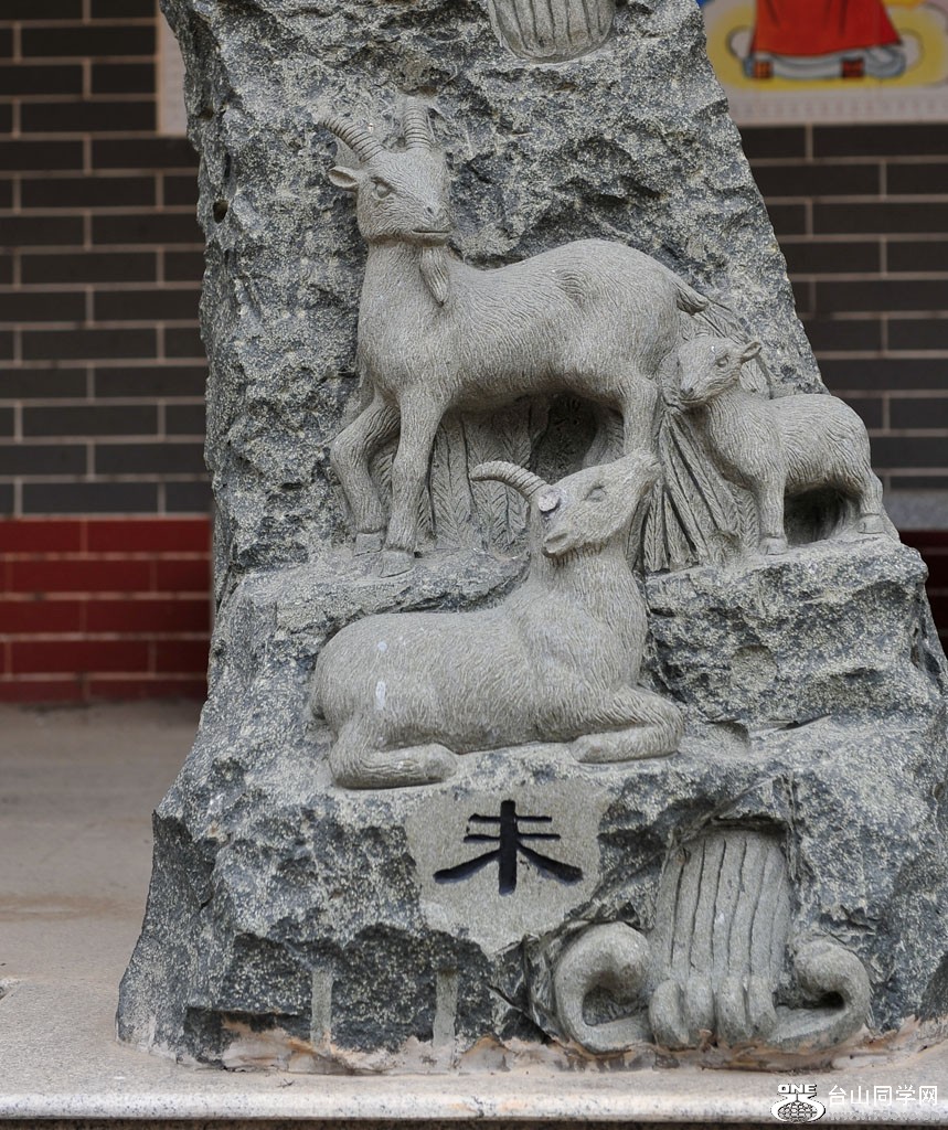 DSC_6203.jpg