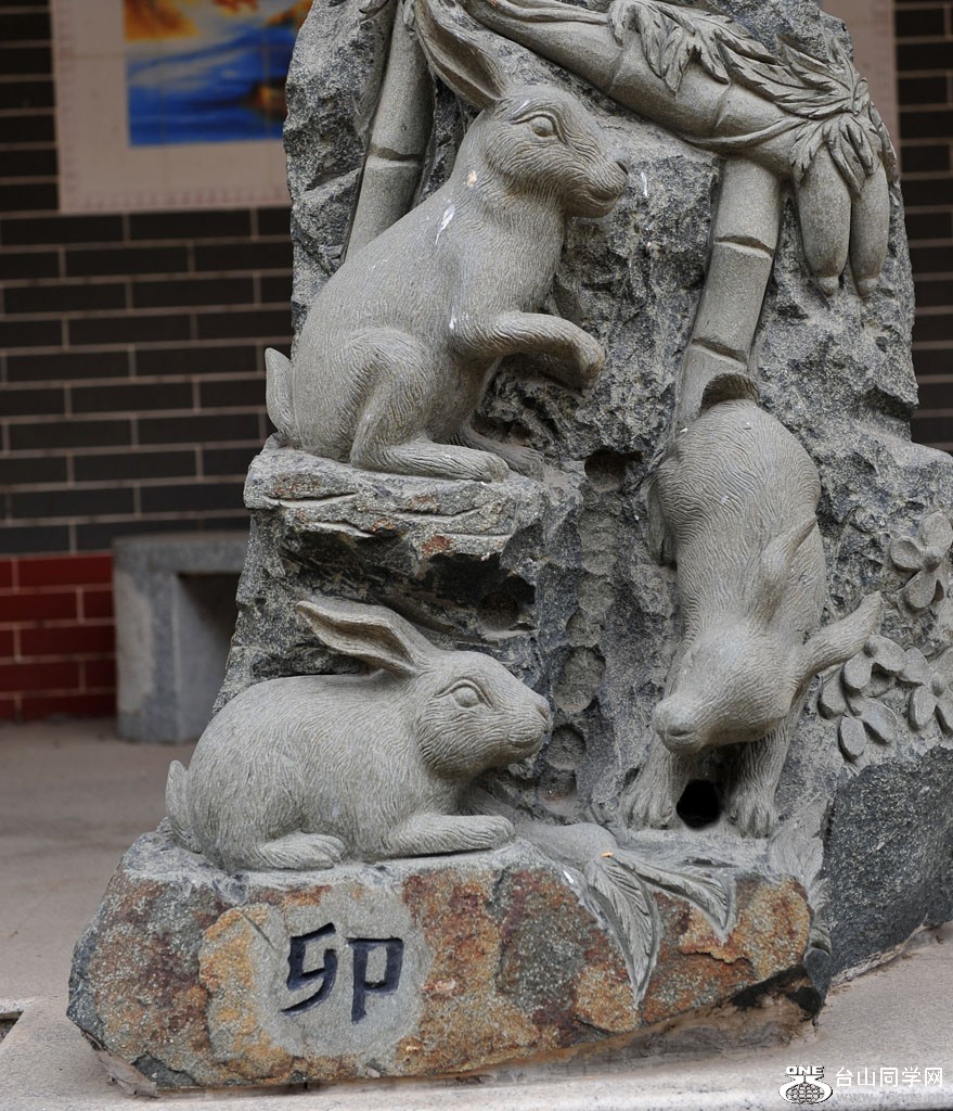DSC_6199.jpg