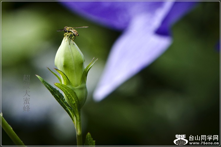 _DSC6283_.jpg