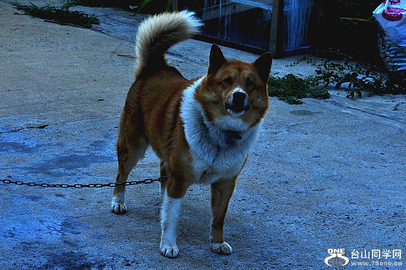 DSC_0750_.jpg
