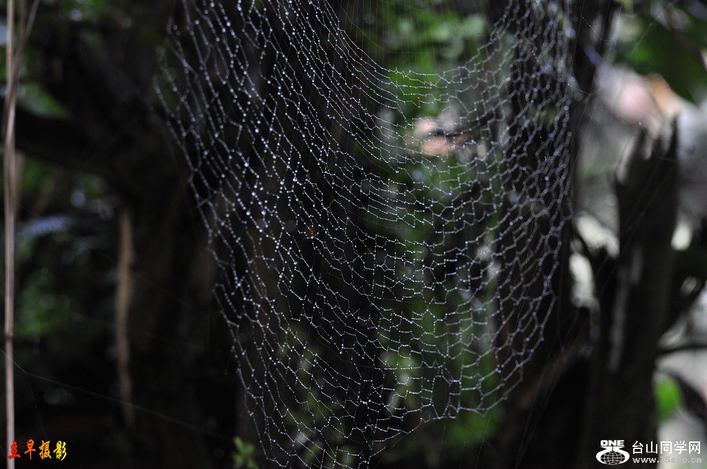 DSC_1396.JPG