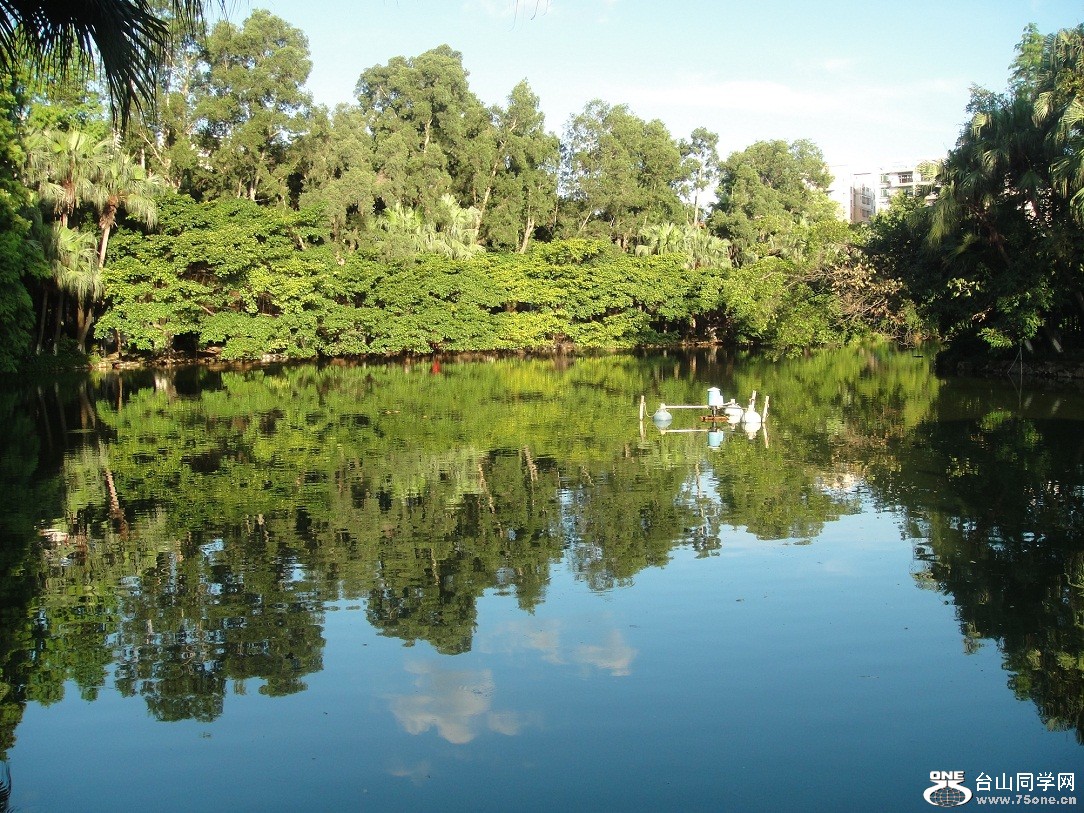 DSC04318.JPG