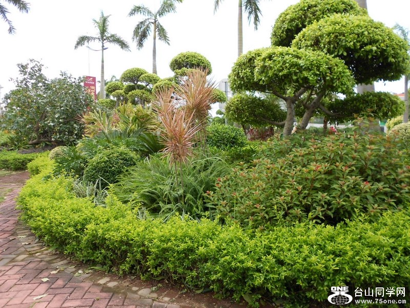 DSCN0312.jpg