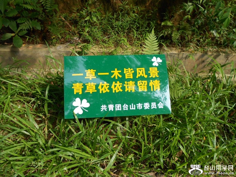DSCN0278.jpg