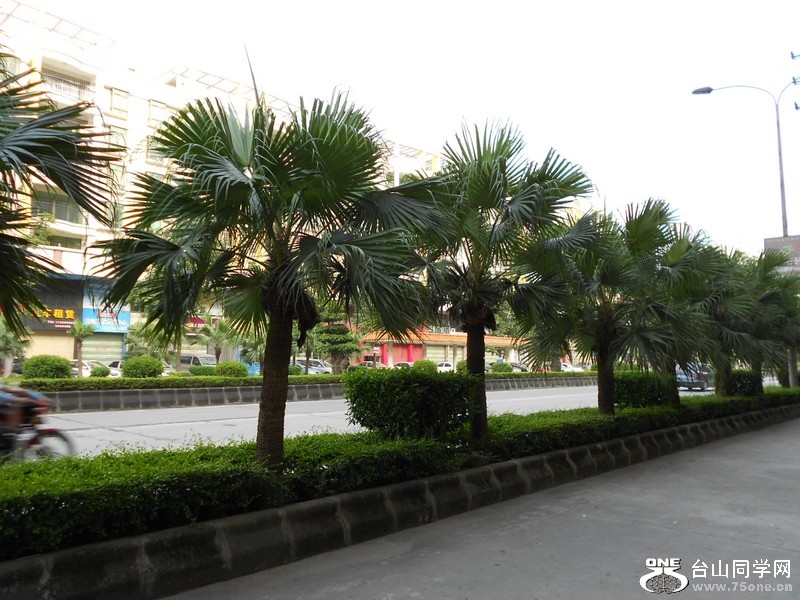 DSCN0254.jpg