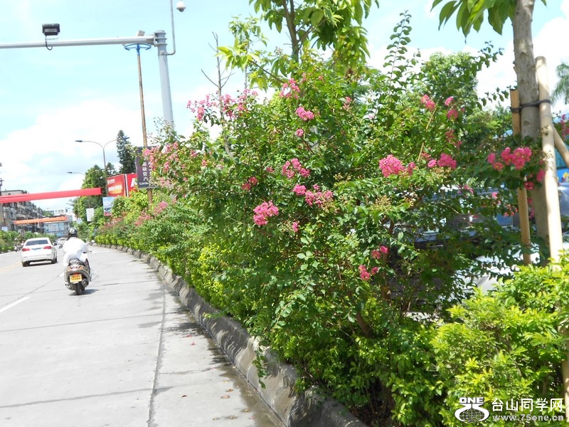 DSCN0112.jpg