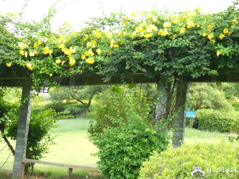 DSCN0152.jpg