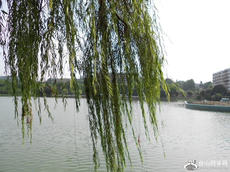 DSCN0265.jpg
