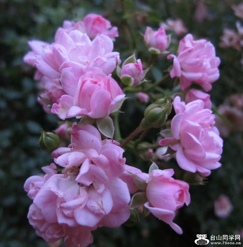 20120600_123400.jpg