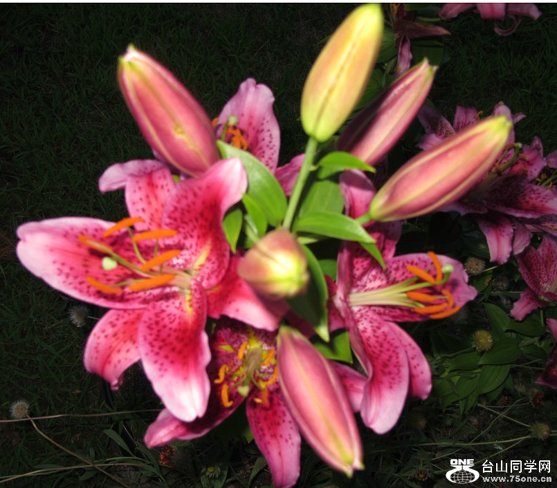 20120600_123810.jpg
