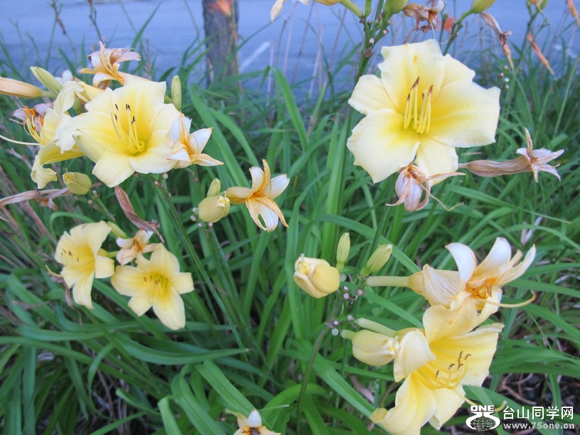 20120600_122151.jpg