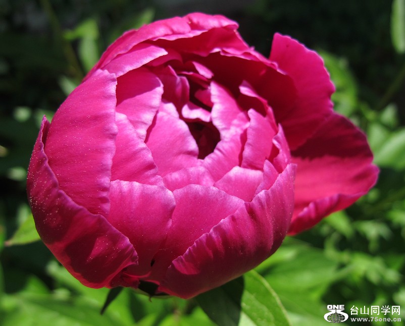 20120404_214250.jpg