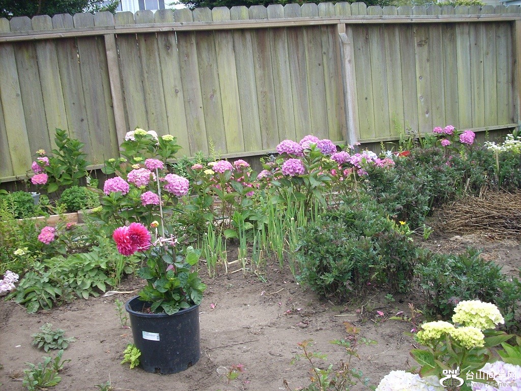 DSCN4898.JPG