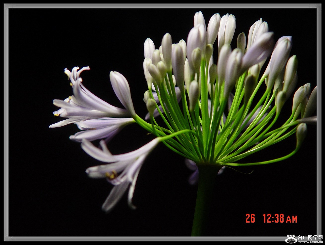 DSC05351.JPG