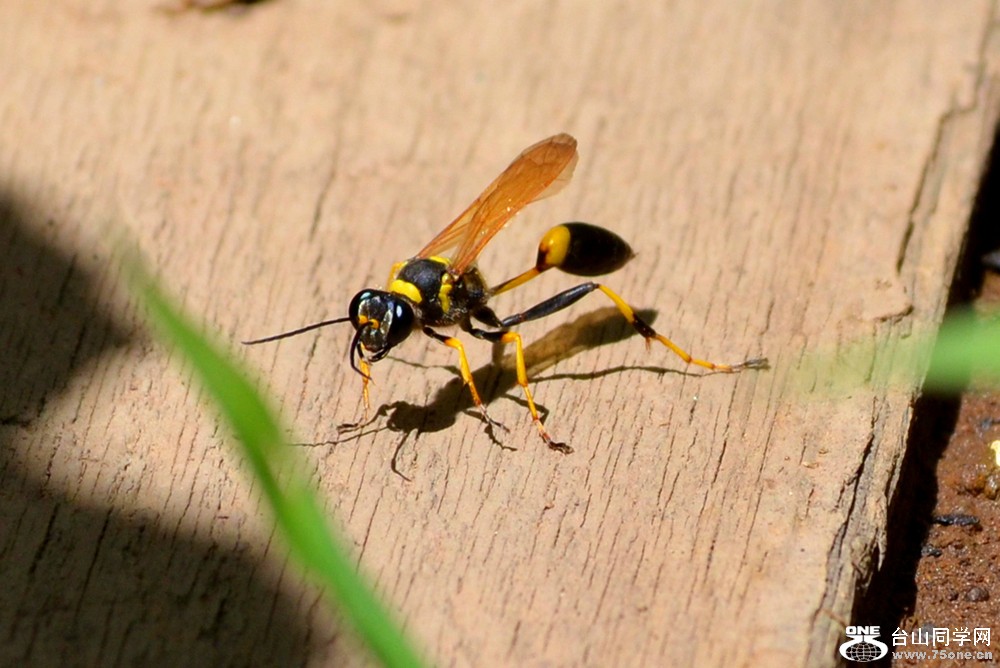 dsc_0158_28.jpg