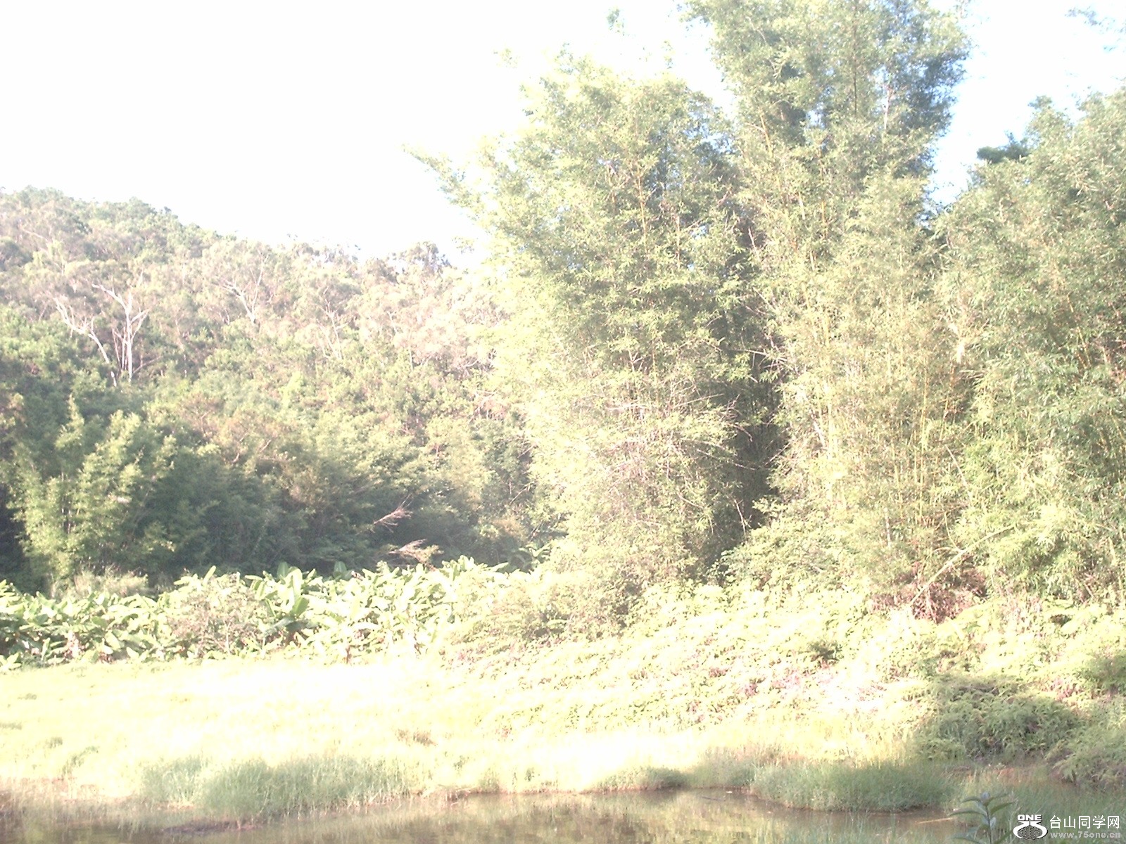 DSC_0850.JPG
