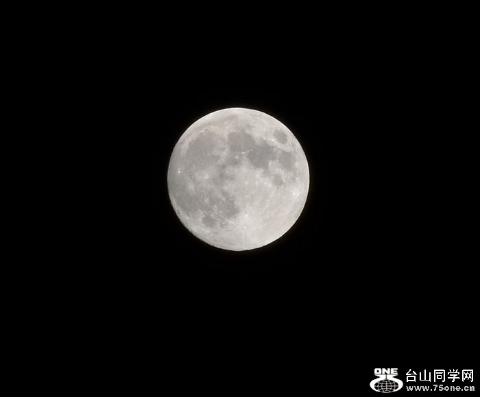 DSC_7875.jpg