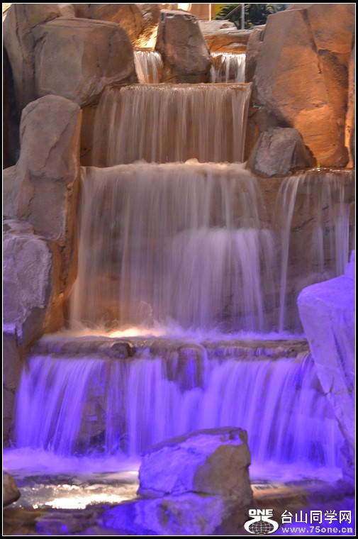 DSC_2879.jpg