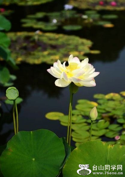 nEO_IMG_DSC_0730.jpg