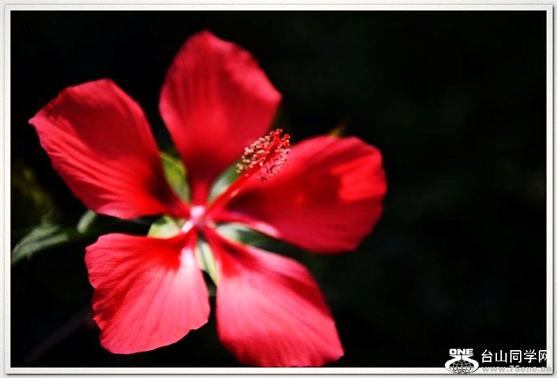 nEO_IMG_DSC_0726.jpg