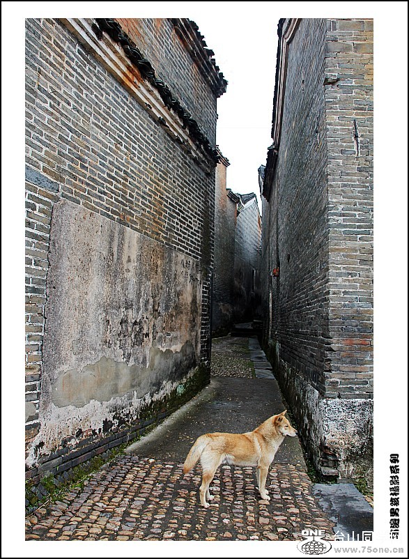 IMG_3237_conew1.jpg