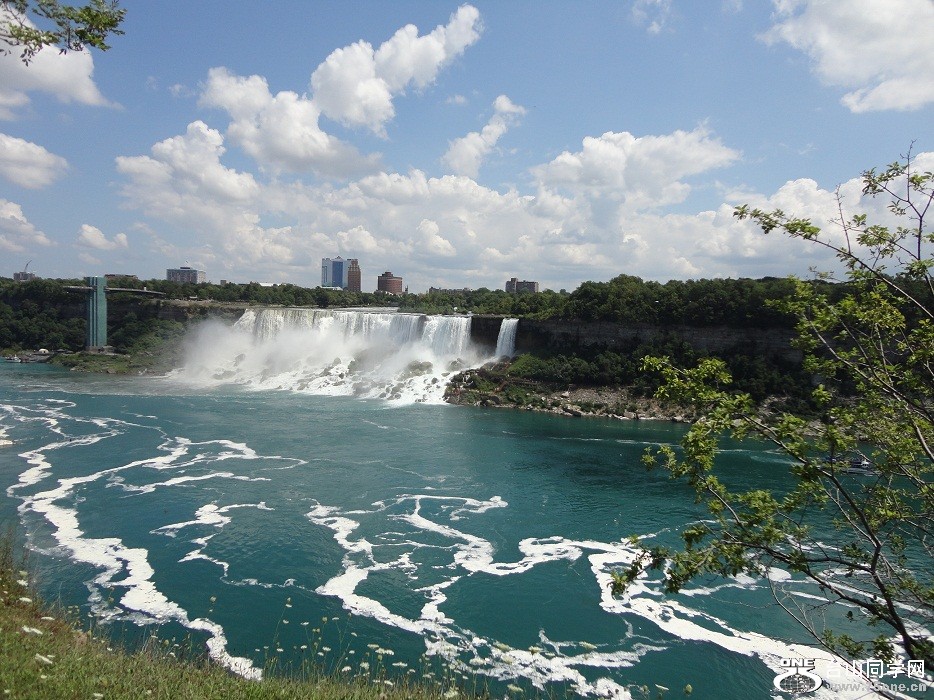 DSC01943-d.jpg