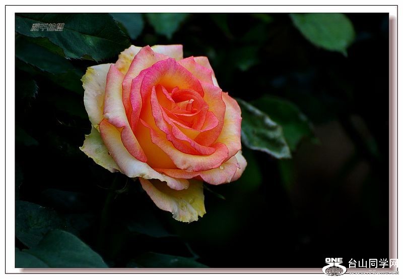 DSC_0081.JPG