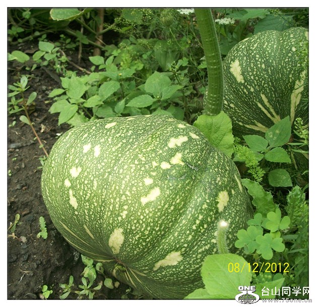 100_2254_.jpg