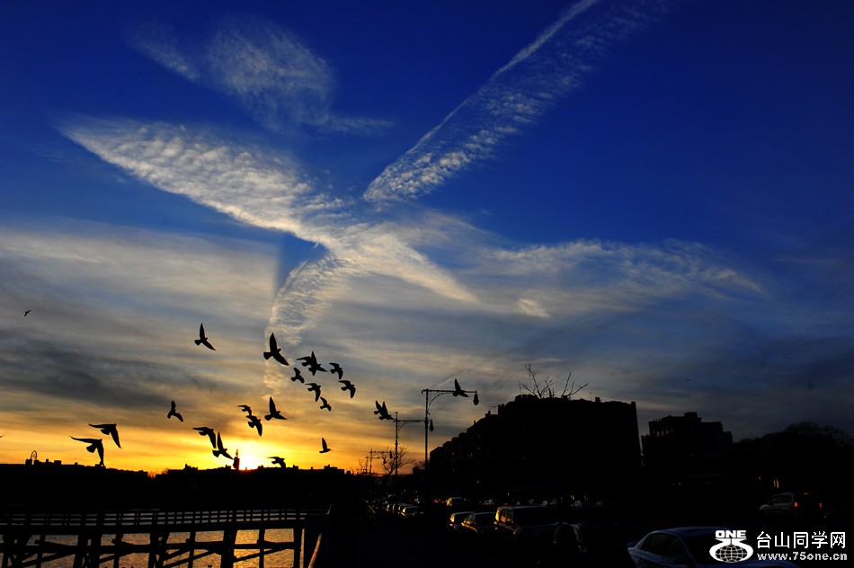 DSC_4949-2.jpg