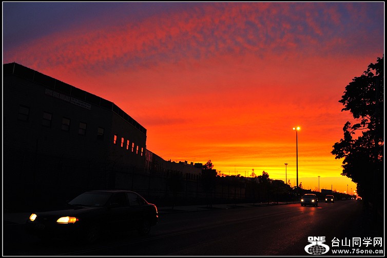 DSC_6455.JPG