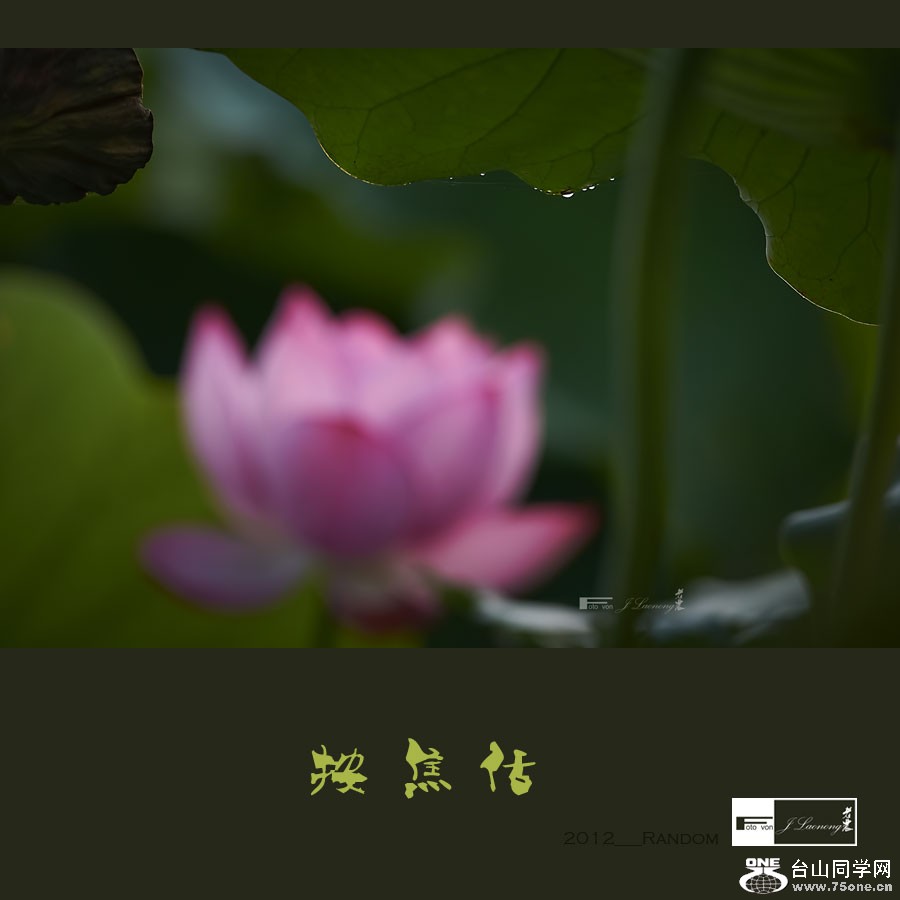 751DSD_1511.jpg