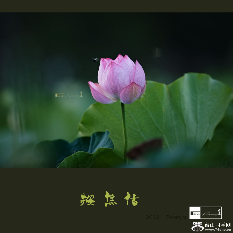 751DSD_1469-1.jpg