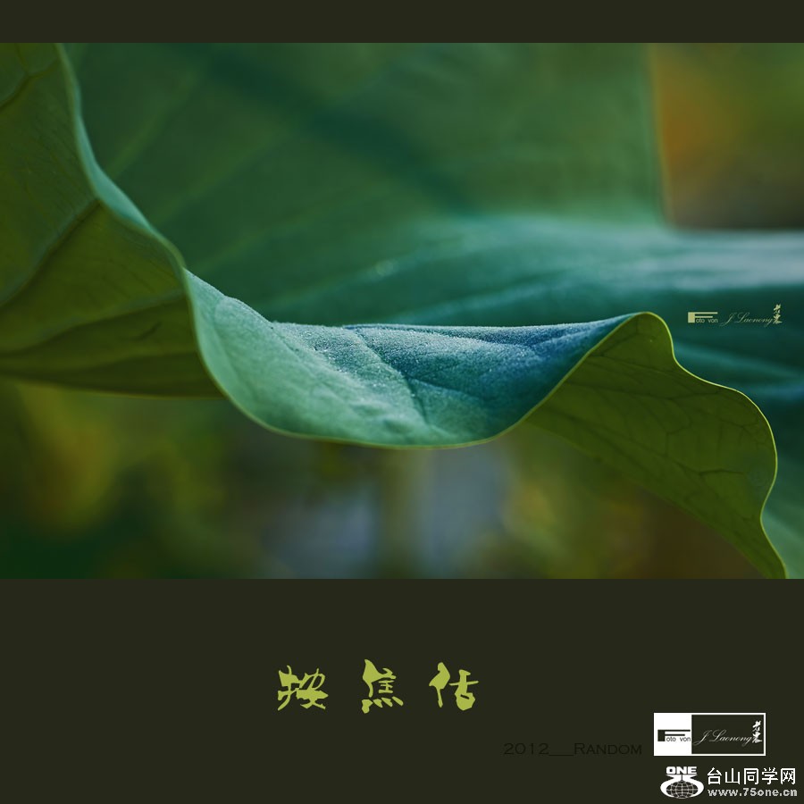 751DSD_1537.jpg