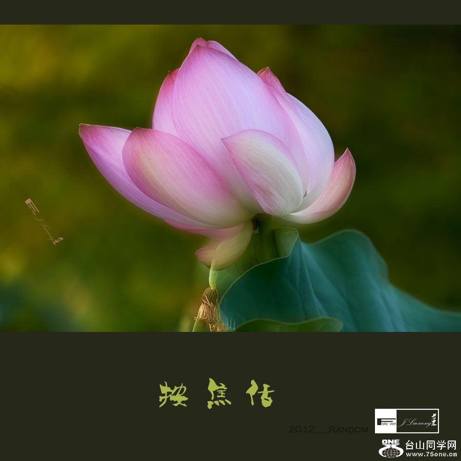 751DSD_1555.jpg