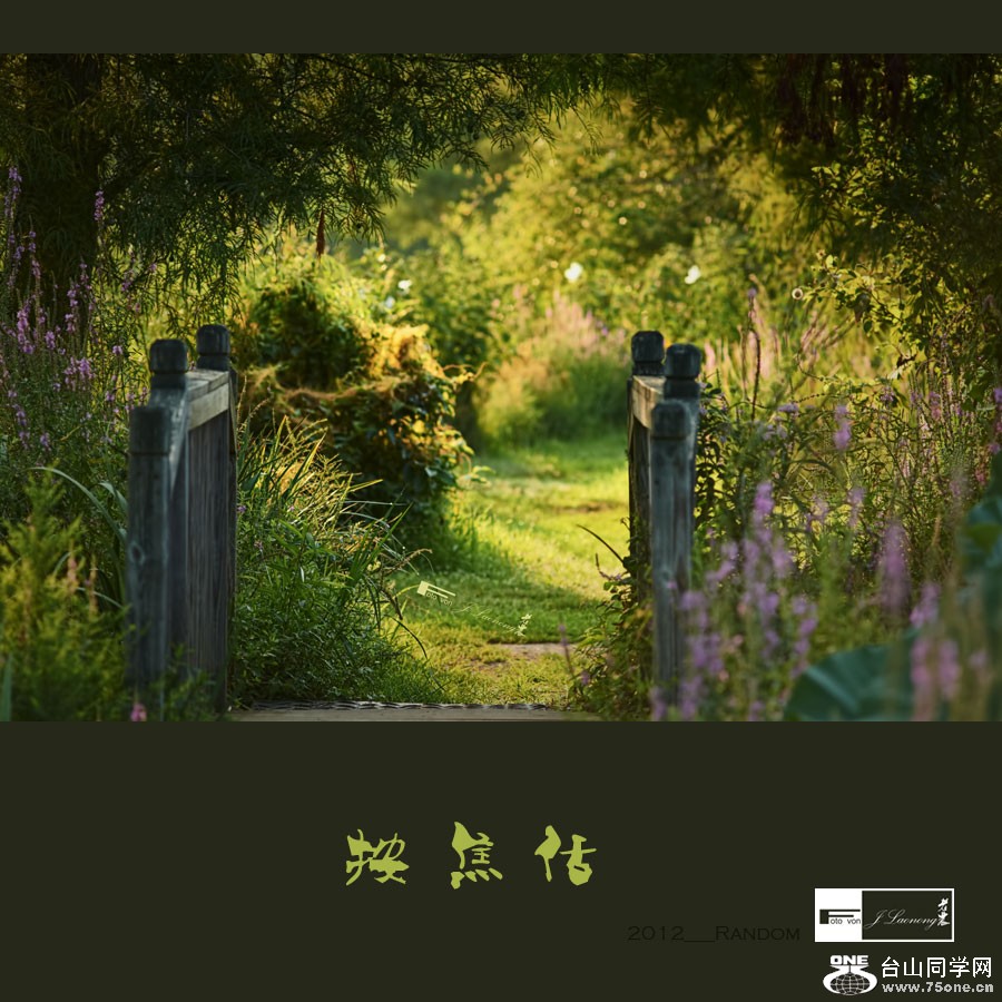 751DSD_1554a.jpg