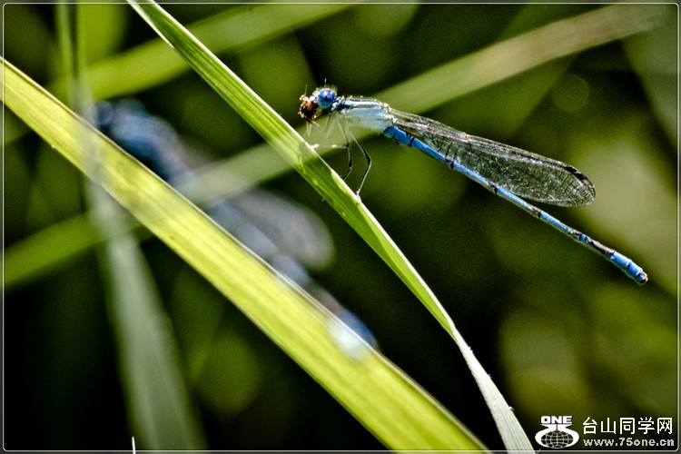 _DSC8800.jpg