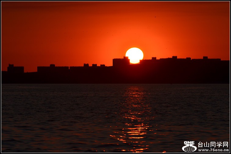 DSC_3790.jpg