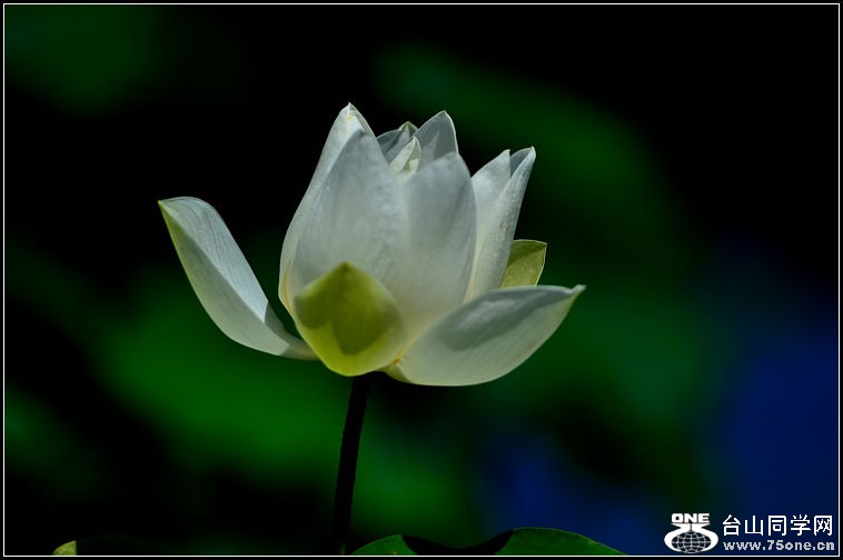 DSC_0386.jpg