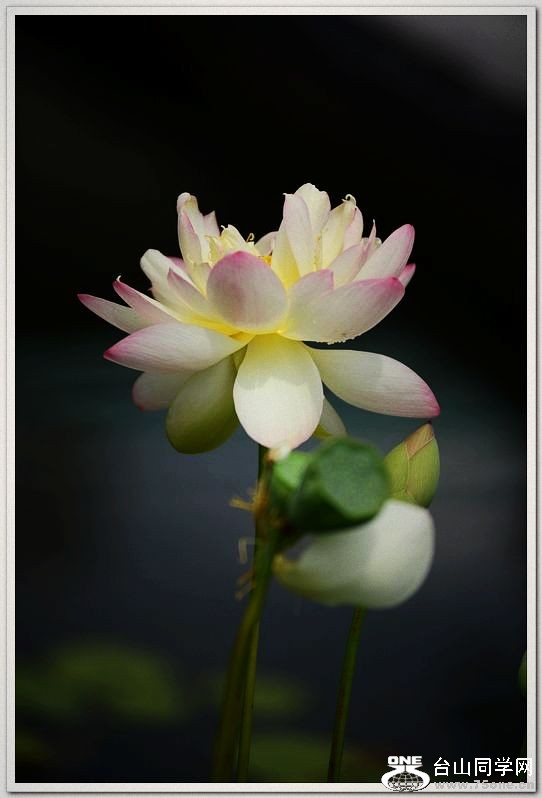 nEO_IMG_DSC_0446.jpg