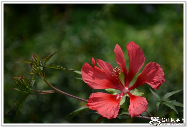 nEO_IMG_DSC_0506.jpg