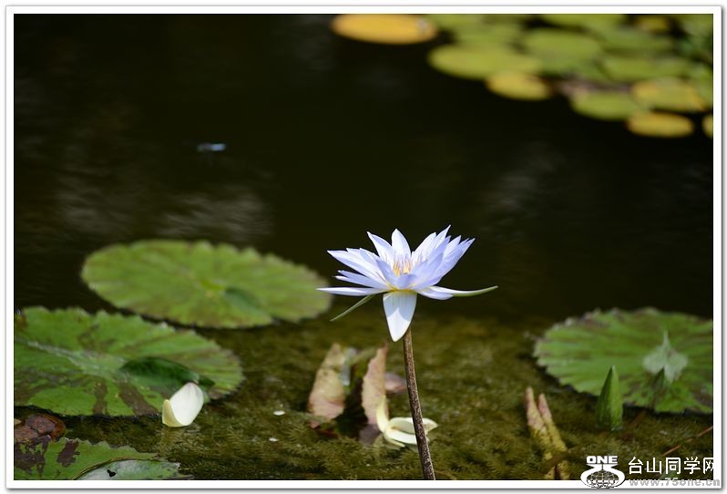 nEO_IMG_DSC_0471.jpg