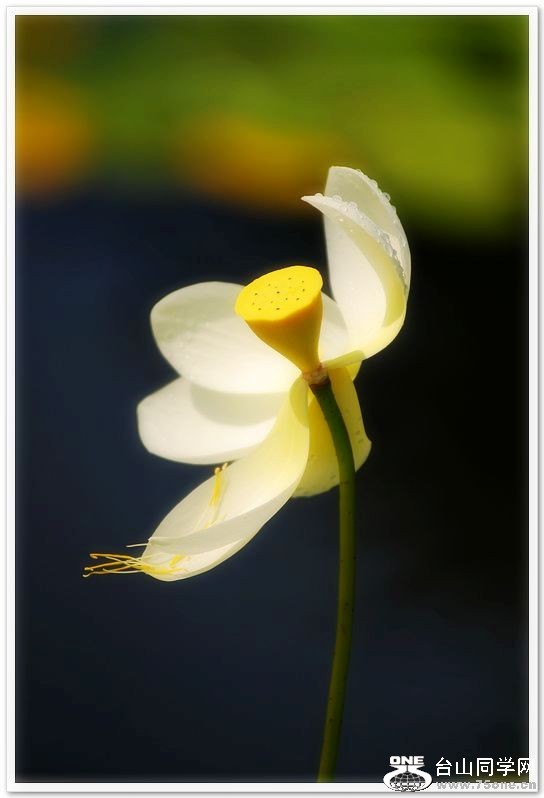 nEO_IMG_DSC_0067.jpg