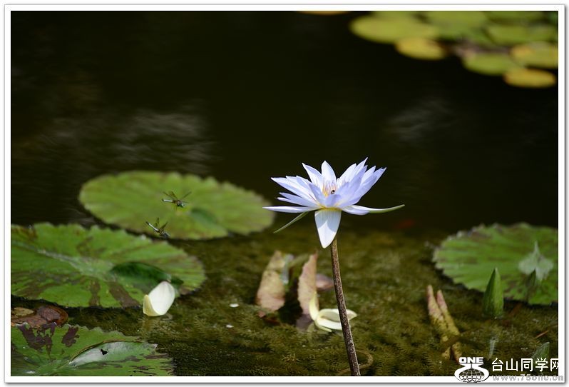 nEO_IMG_DSC_0472.jpg